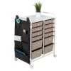 15.25 in. W x 31.75 in. H White/Beige Plastic and Steel 12-Drawer Cart with Side Pockets by Honey-Can-Do
